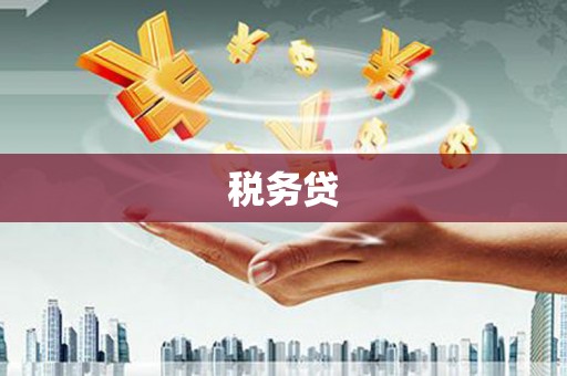 溪州税务贷