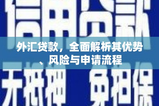 溪州外汇贷款，全面解析其优势、风险与申请流程