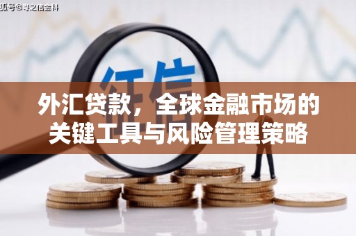 溪州外汇贷款，全球金融市场的关键工具与风险管理策略