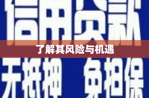 溪州了解其风险与机遇