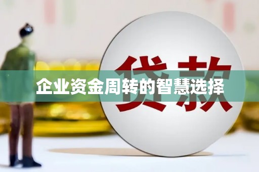 溪州企业资金周转的智慧选择
