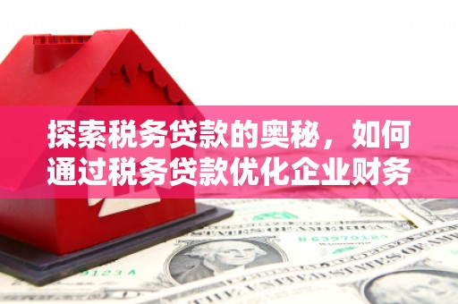 溪州探索税务贷款的奥秘，如何通过税务贷款优化企业财务