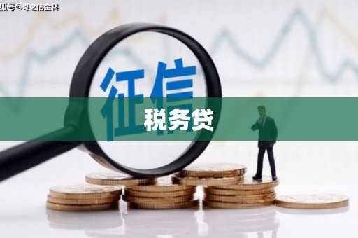 溪州税务贷