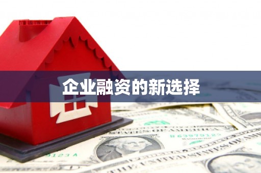溪州企业融资的新选择