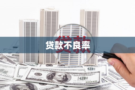 溪州贷款不良率