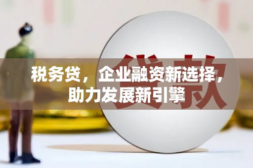溪州税务贷，企业融资新选择，助力发展新引擎