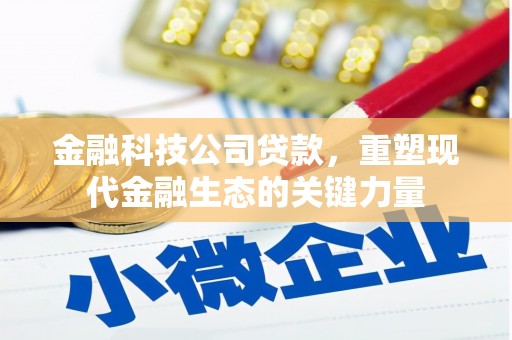 溪州金融科技公司贷款，重塑现代金融生态的关键力量