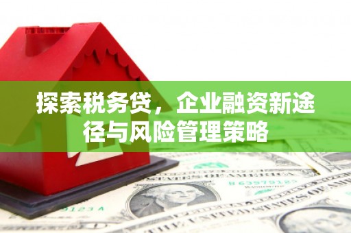 溪州探索税务贷，企业融资新途径与风险管理策略
