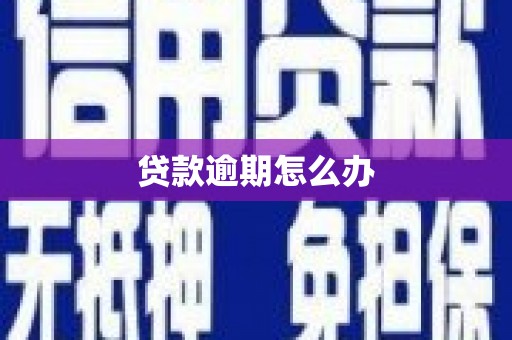 溪州贷款逾期怎么办