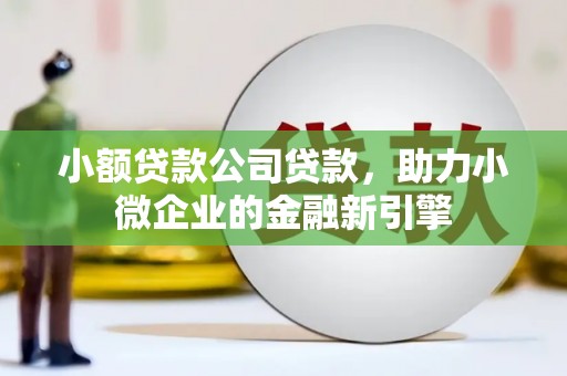 溪州小额贷款公司贷款，助力小微企业的金融新引擎
