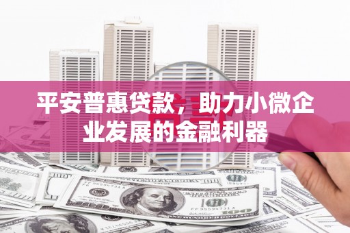 溪州平安普惠贷款，助力小微企业发展的金融利器