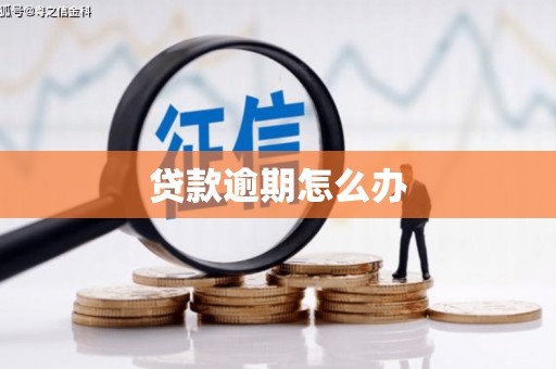 溪州贷款逾期怎么办