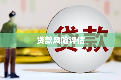 溪州贷款风险评估