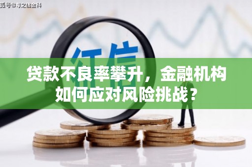 溪州贷款不良率攀升，金融机构如何应对风险挑战？