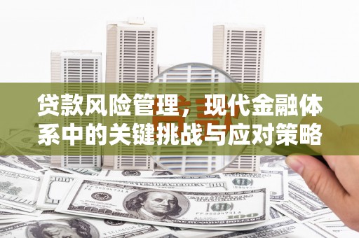 溪州贷款风险管理，现代金融体系中的关键挑战与应对策略
