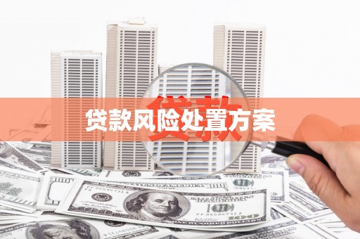 溪州贷款风险处置方案